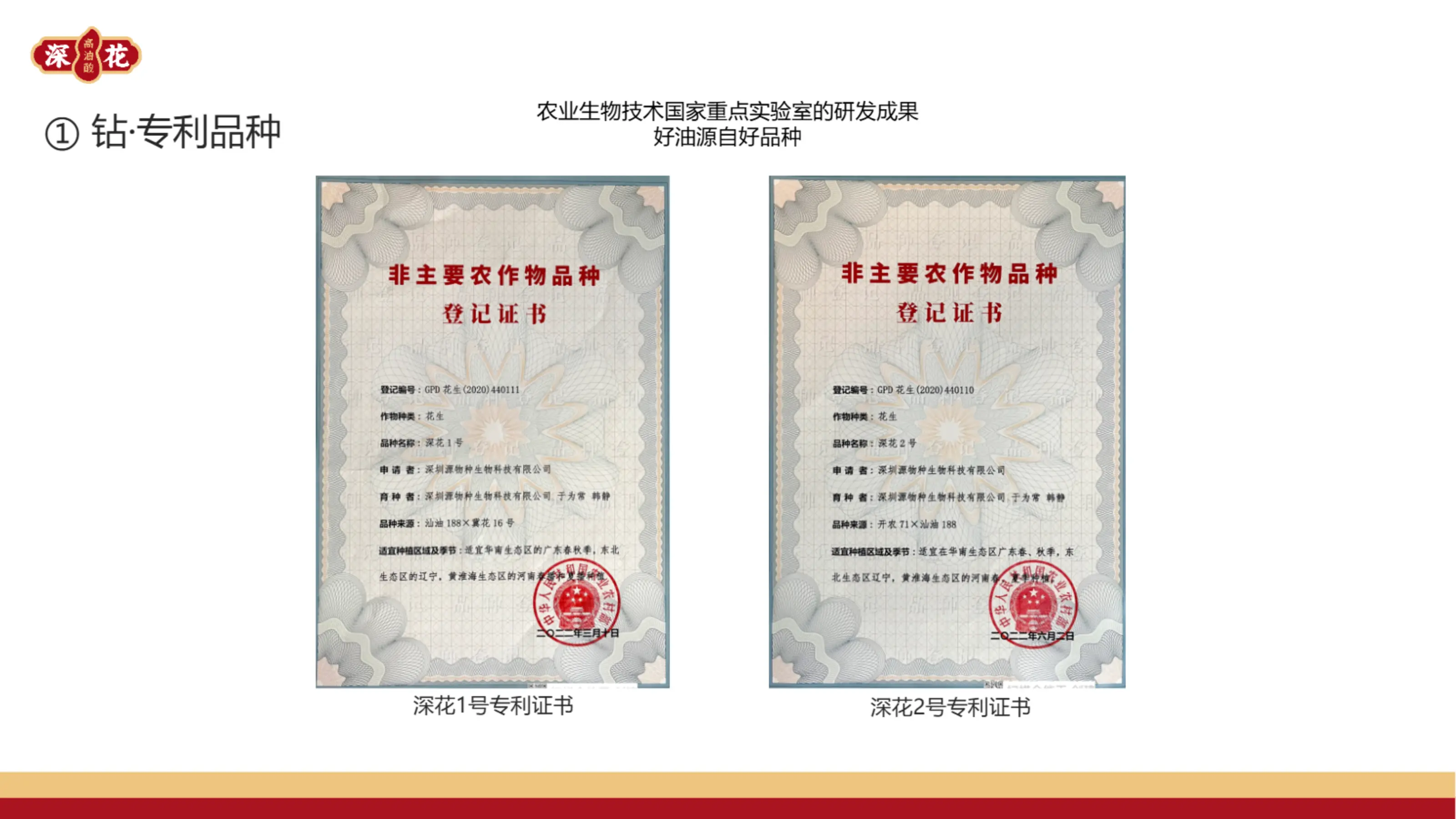 深花品牌介绍_12.webp